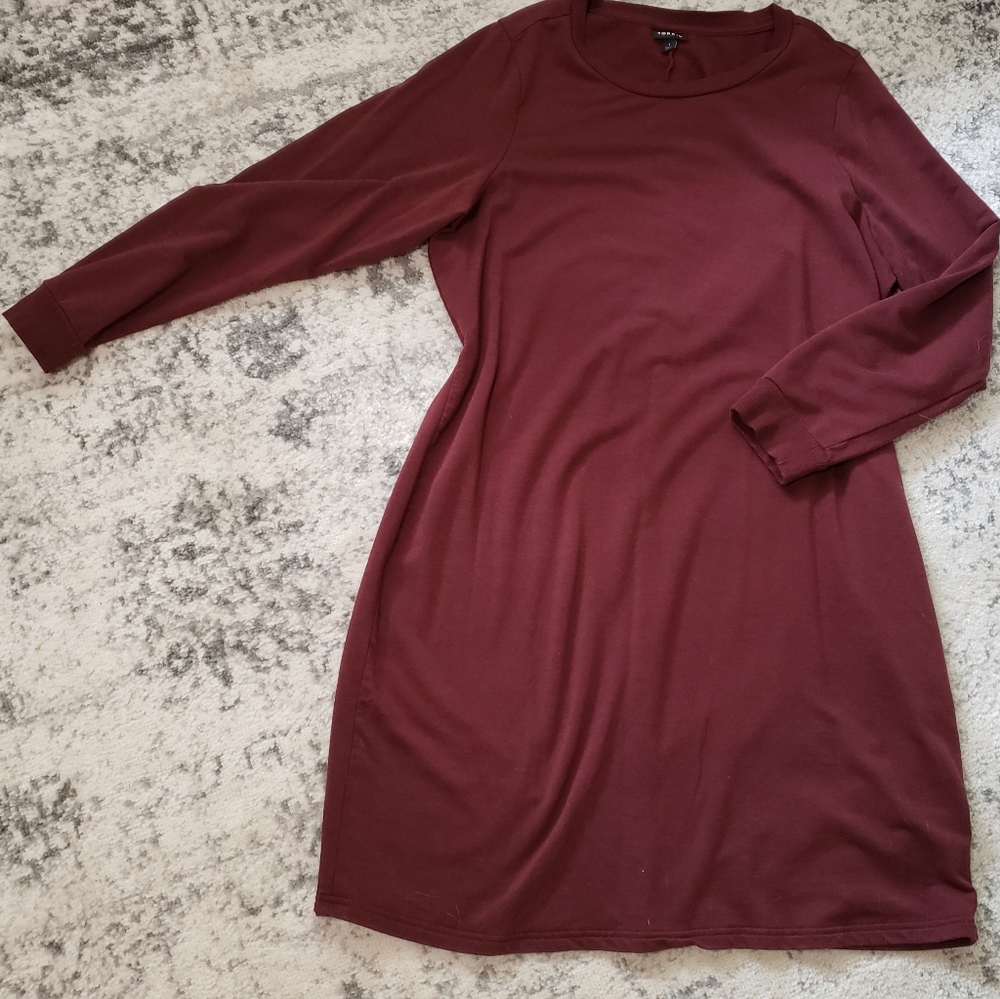 Torrid Sweatshirt Dress